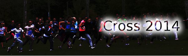 cross2014